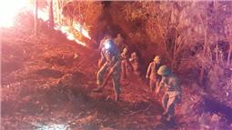 Sư đoàn 3: Hơn 300 cán bộ, chiến sĩ tham gia chữa cháy rừng tại huyện Yên Dũng, Bắc Giang